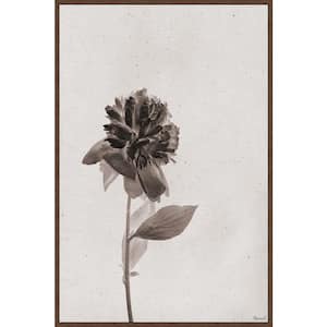 "Almost Wilted" by Marmont Hill Floater Framed Canvas Nature Art Print 30 in. x 20 in.