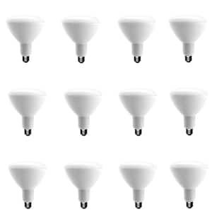 75-Watt Equivalent BR40 Dimmable CEC LED Light Bulb Daylight (12-Pack)