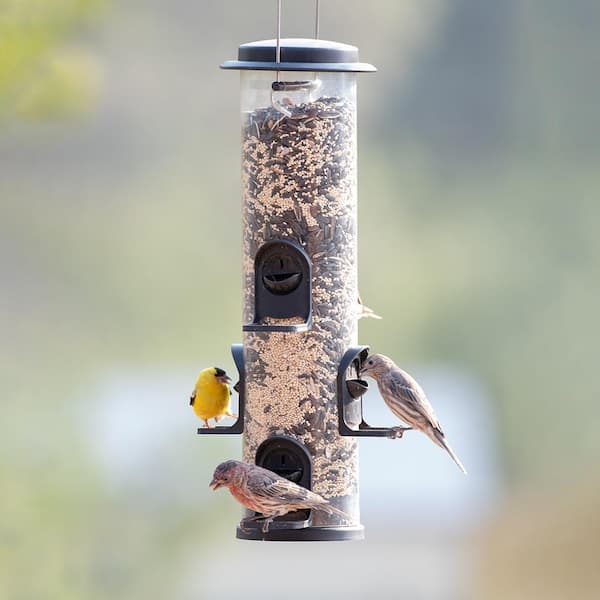 2-in-1 XL Tube Hanging Bird Feeder - 4 lb. Capacity