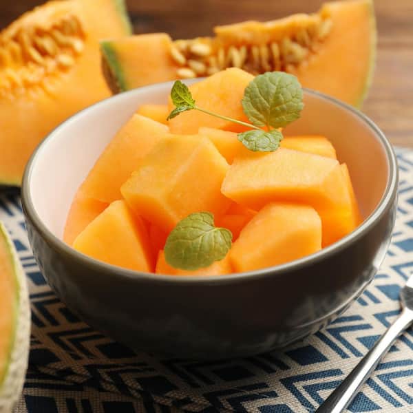 Back to the Roots (1-Pack) Organic Cantaloupe 'Honey Rock' Seed