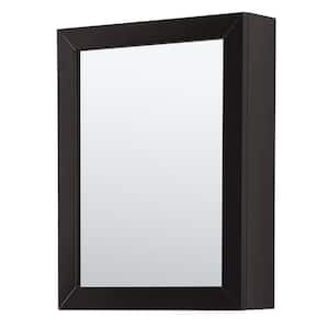 Daria 24 in. W x 30 in. H Framed Rectangular Bathroom Vanity Mirror in Dark Espresso