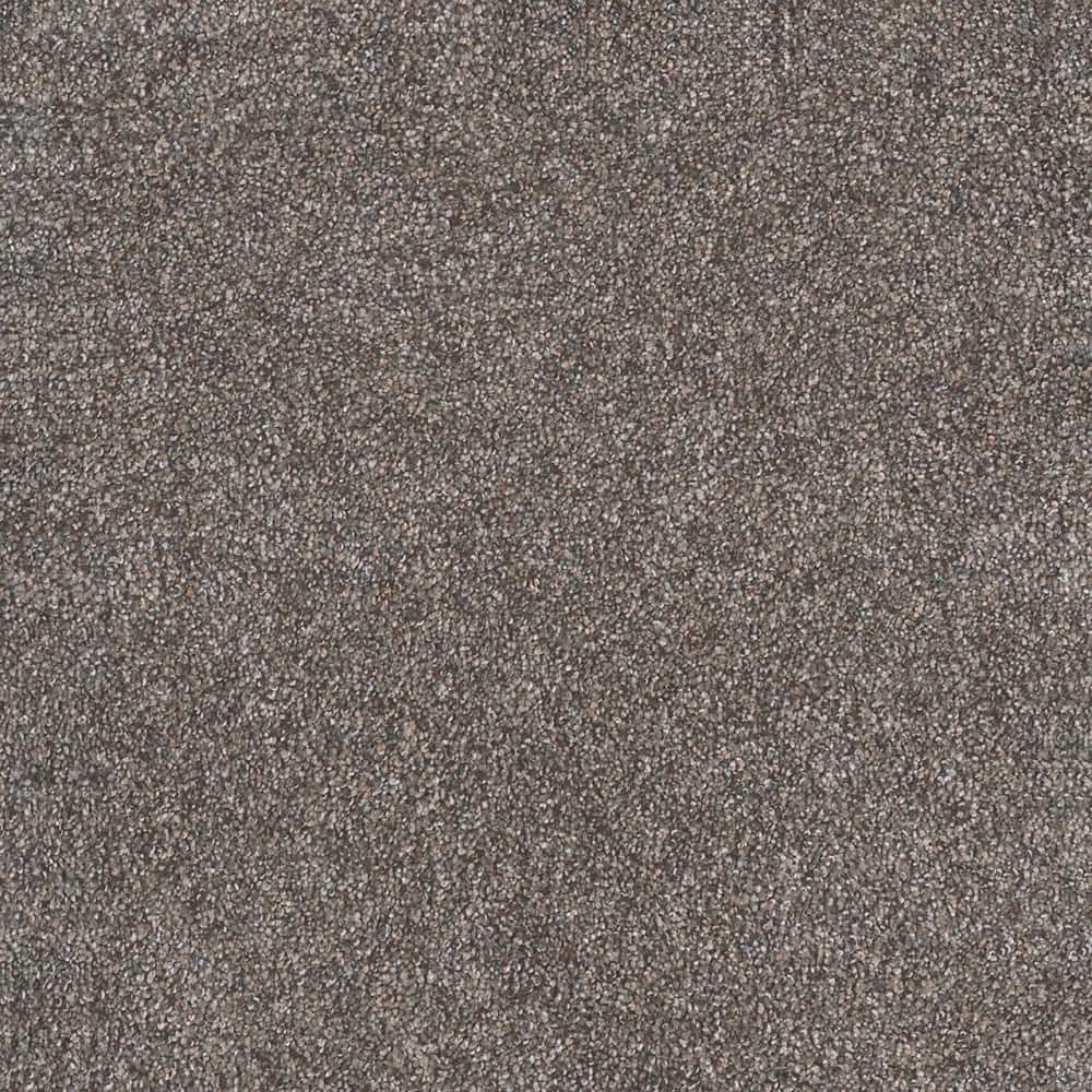 8 in. x 8 in. Texture Carpet Sample - Topaz II  - Color Creekside price history on PriceWatchPro