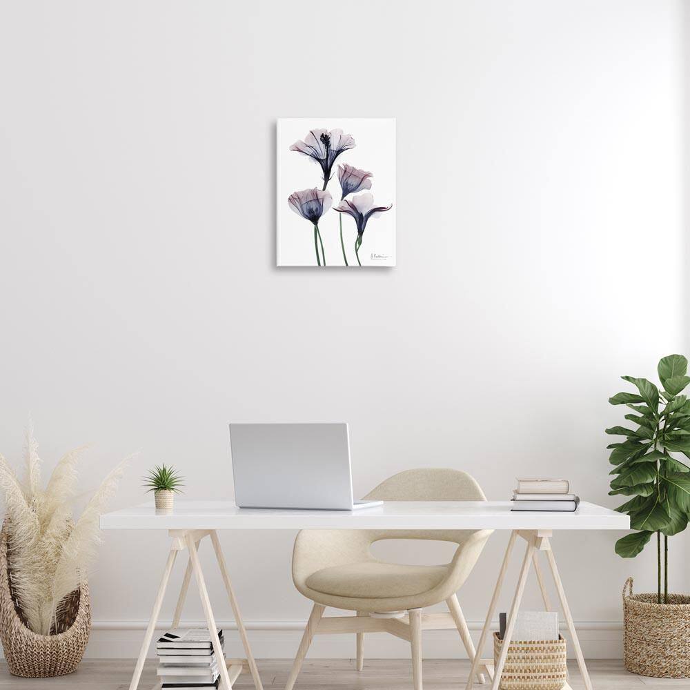 Bountiful Dusk Flowers by Albert Koetsier Unframed Nature Graphic Art Print 20 in. x 16 in. price history on PriceWatchPro
