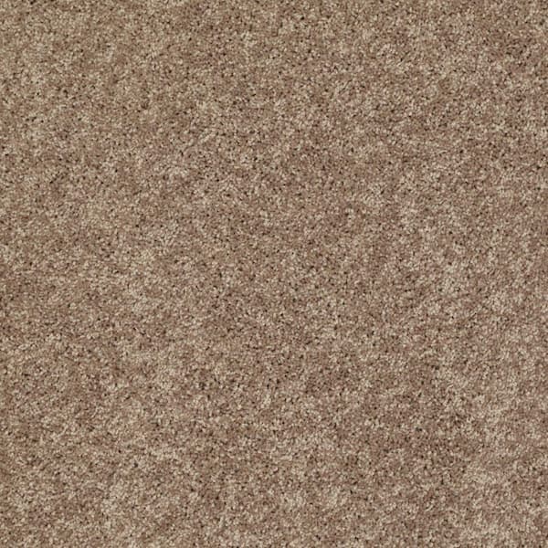 TrafficMaster Palmdale I - Toasty Warm - Brown 17.6 oz. Polyester Texture Installed Carpet