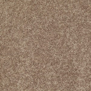 Palmdale II - Toasty Warm - Brown 31.2 oz. Polyester Texture Installed Carpet
