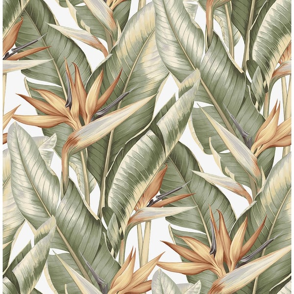 Kenneth James Arcadia Light Green Banana Leaf Paper Strippable Roll Wallpaper (Covers 56.4 sq. ft.)