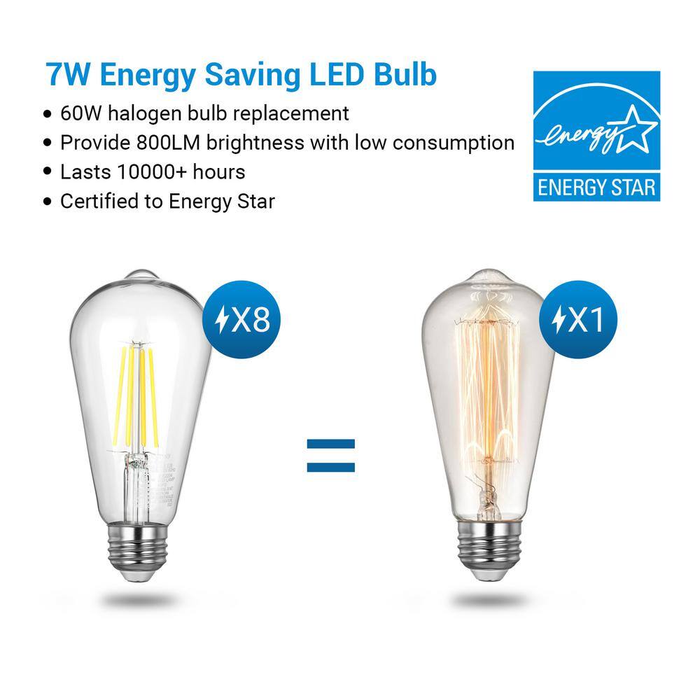 Clear Glass Vintage Edison LED Light Bulbs, 4000K, 60W Equivalent, 4-Pack