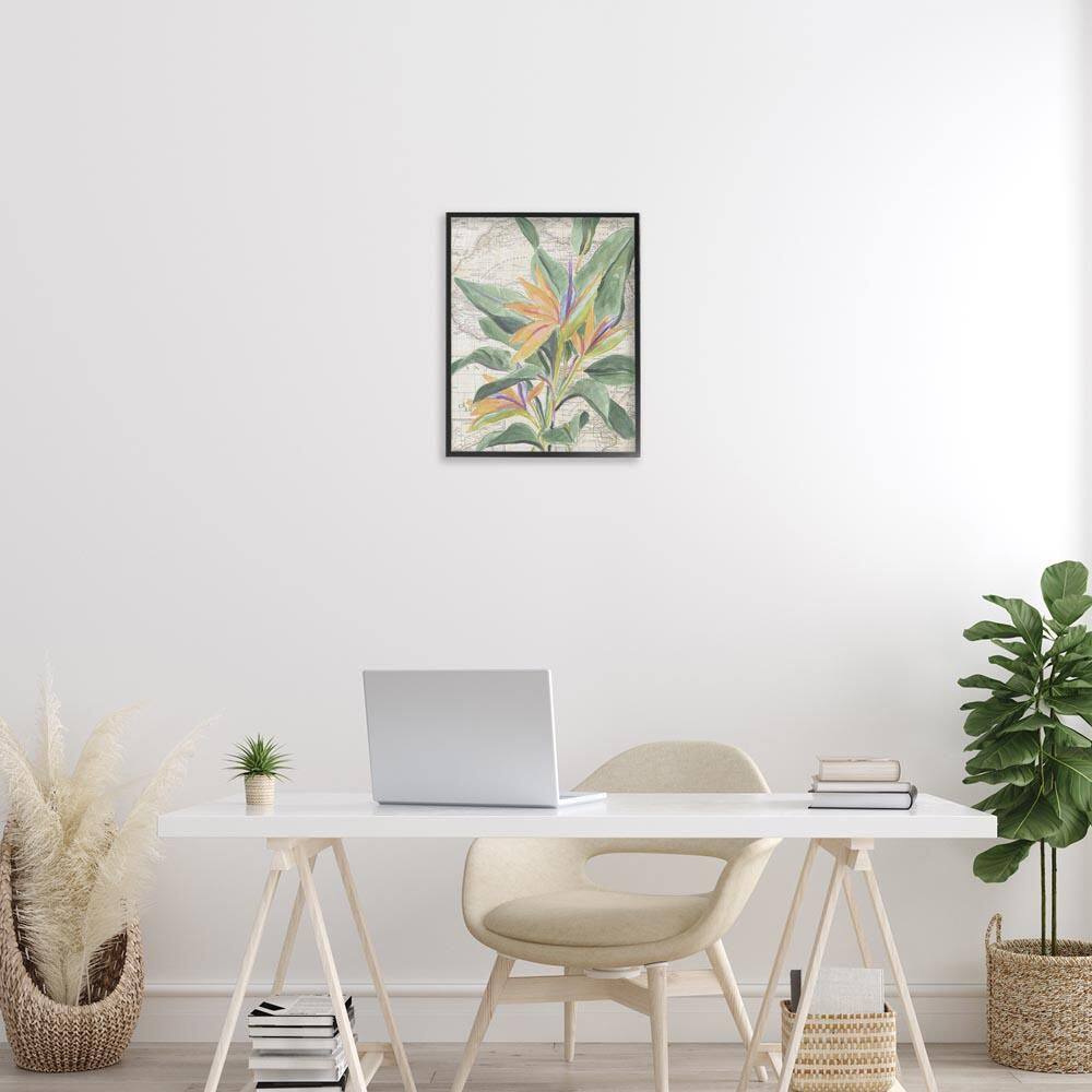 Tropical Flower over Map by June Erica Vess Black Framed Nature Giclee Art Print 20 in. x 16 in. price history on PriceWatchPro