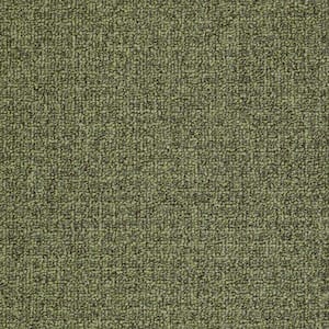Burana - Silver Pine - Green 19 oz. SD Olefin Berber Installed Carpet