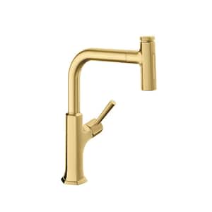 Locarno Single-Handle Pull Down Sprayer Kitchen Faucet in Brushed Gold Optic