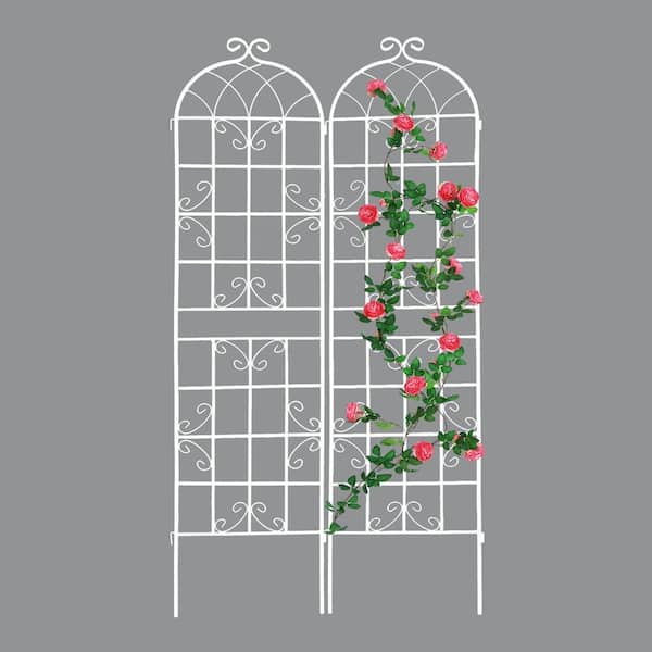 86 .7 in. H 2-Pack White Metal Garden Trellis Rustproof Trellis for Climbing Plants Outdoor Flower Support Arch