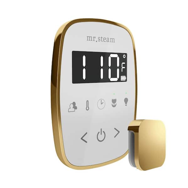 TempoFlex Steam Shower Control and Steamhead in White Polished Brass