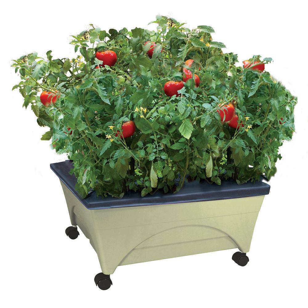 Sand Rectangular Resin Raised Bed Grow Box with Casters