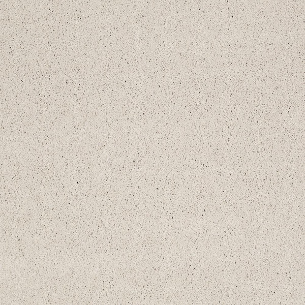 Lifeproof Coral Reef I - Sugar Cube - Beige 65.5 oz. Nylon Texture Installed Carpet