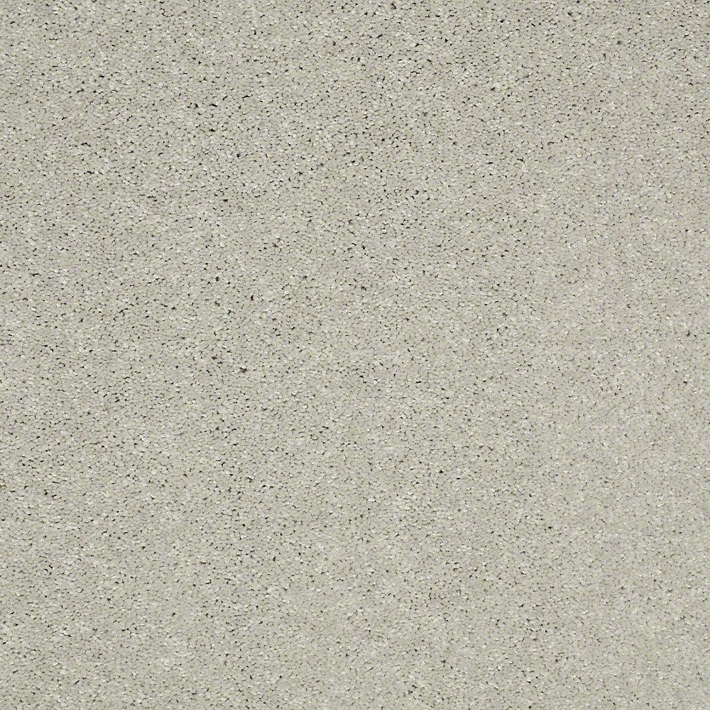 8 in. x 8 in. Texture Carpet Sample - Brave Soul II - Color Sterling price history on PriceWatchPro