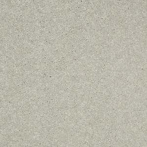 Brave Soul II - Sterling - Gray 44 oz. Polyester Texture Installed Carpet