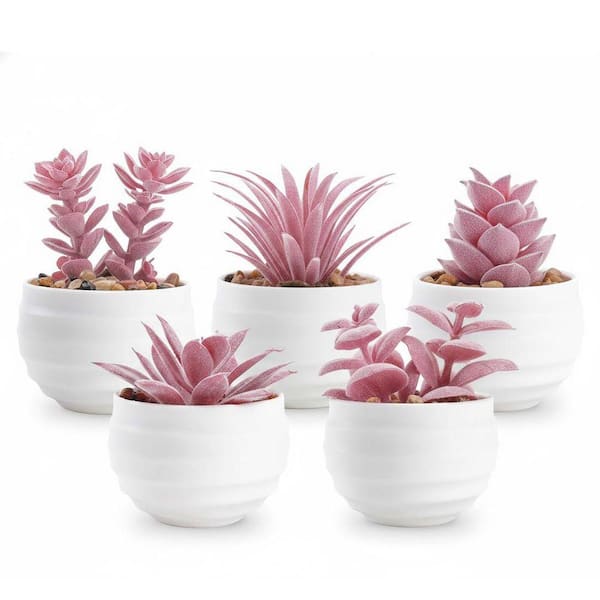 Unbranded 3.14 in. 6-Piece Pink Artificial Succulents in Pots - Small Fake  Plants for Girls' Room and Women's Office Decor ENHD10785
