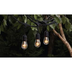 12-Light 24 ft. Black Indoor/Outdoor Commercial Incandescent Edison String Light