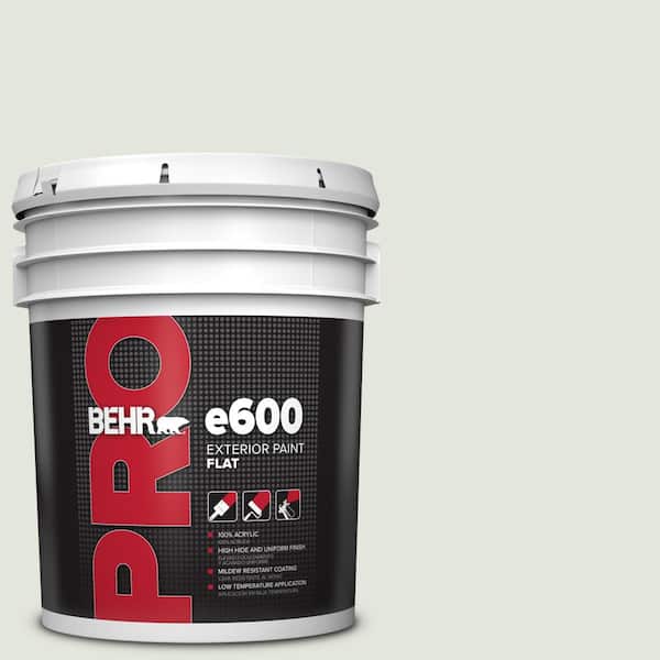 BEHR PRO 5 gal. #BL-W06 Whispering Waterfall Flat Exterior Paint