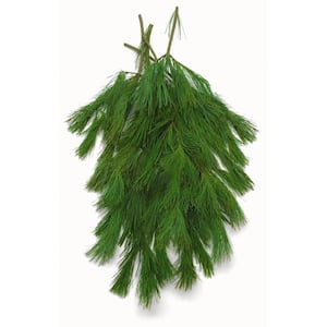 24 in. Bunched Princess Pine Boughs Freshly Cut From Pacific Northwest Forests (5-Pack)