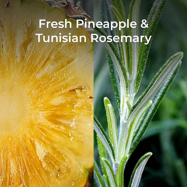 Air Wick Botanica Fresh Pineapple & Tunisian Rosemary recharge de diffuseur  électrique