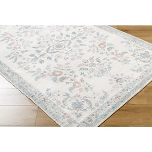 Lavable Gray Traditional 4 ft. x 6 ft. Indoor Area Rug