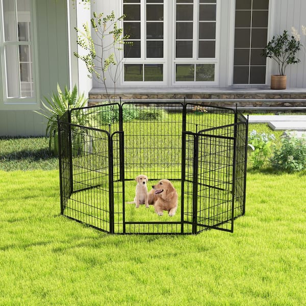 Dog Fences - Outdoor - Pet Playgrounds