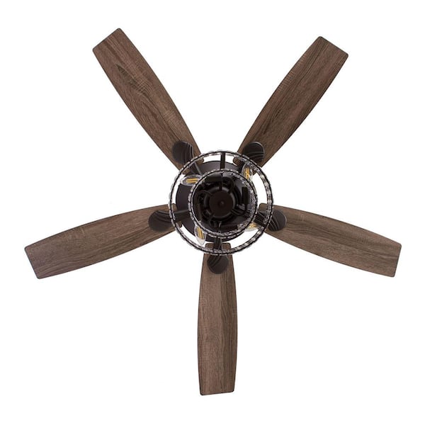 ★PIONEER★AN-X5 FlyingParty★フライング・パーティー★ Parrot Uncle Rafferty 52 in. Modern Indoor Black Dual