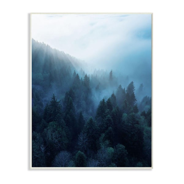 Stupell Industries "Daylight Over Pine Forest Mountain with Fog" by Unsplash Unframed Nature Wood Wall Art Print 13 in. x 19 in.
