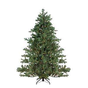 Embezzle royalty Heading Northlight 90 in. Pre-Lit Oregon Noble Fir Artificial Christmas - Warm  White LED Lights 32915344