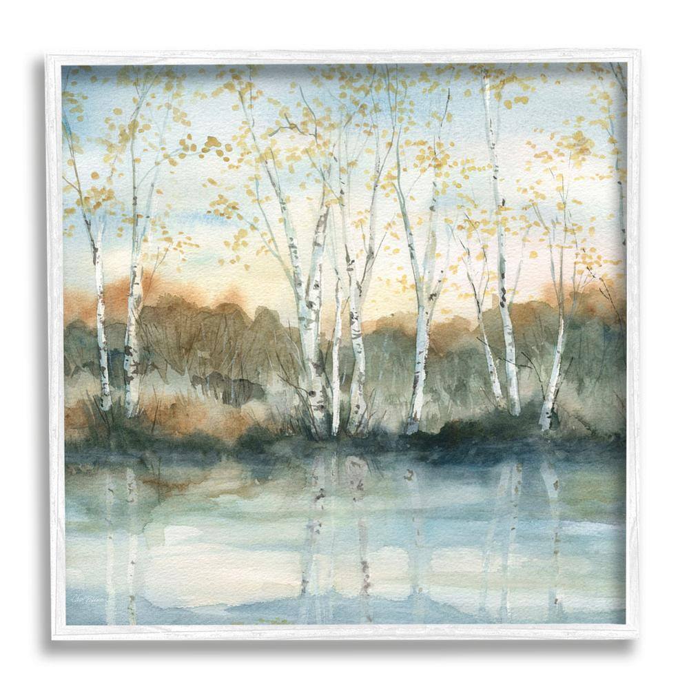 Birch Tree Reflections Quaint Lake Clearing Landscape Design by Carol Robinson Framed Nature Art Print 24 in. x 24 in. price history on PriceWatchPro