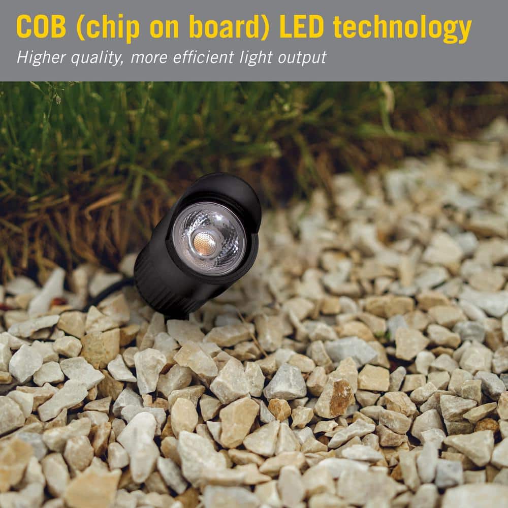 Black Aluminum Outdoor LED Spike Light with 300 Lumens