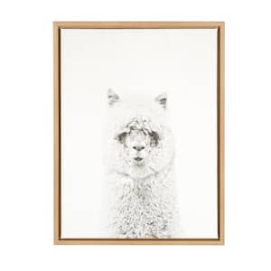24 in. x 18 in. "Hairy Alpaca" by Tai Prints Framed Canvas Wall Art