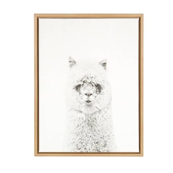 Kate and Laurel 24 in. x 18 in. "Hairy Alpaca" by Tai Prints Framed Canvas Wall Art