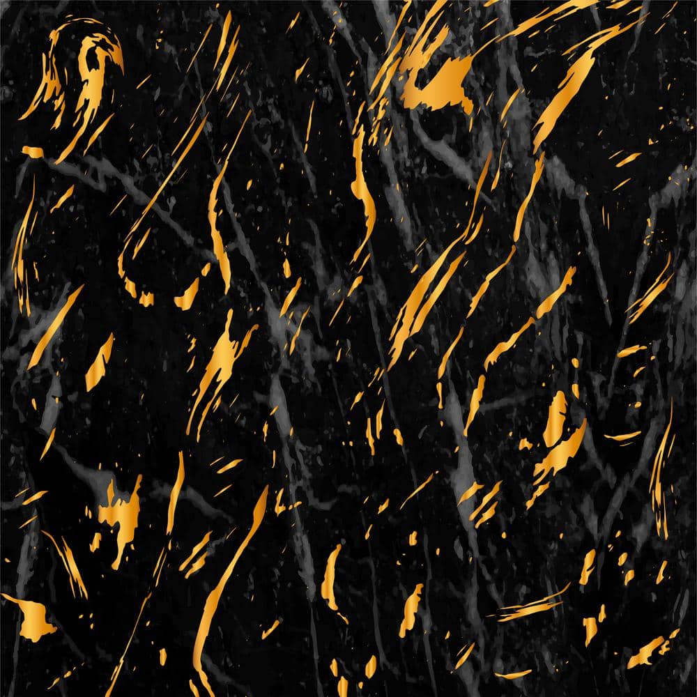 Gold and Black R36 8 in. x 8 in. Vinyl Peel and Stick Tile (24 Tiles, 10.67 sq. ft./Pack) price history on PriceWatchPro