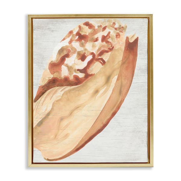 Stupell Industries Rustic Beige Shell by June Erica Vess Gold Floater Frame Coastal Graphic Art Print 21 in. x 17 in.