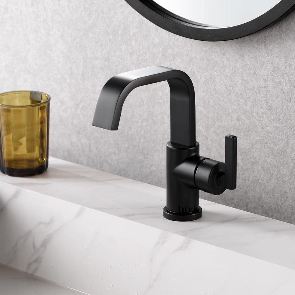 Matte Black Single-Handle Bathroom Faucet with Drain Assembly