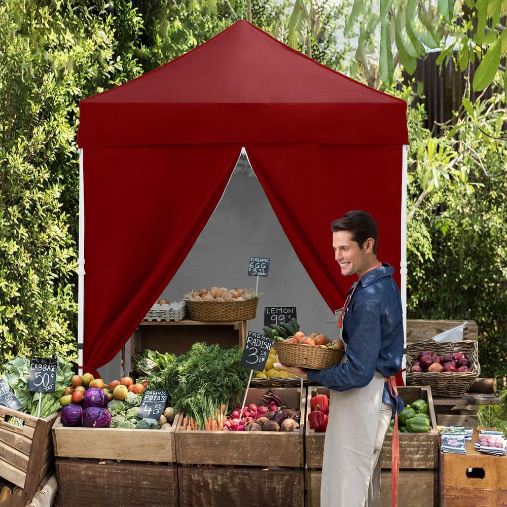 5 ft. x 5 ft. Pop-Up Canopy with 4-Side Wall Panels price history on PriceWatchPro