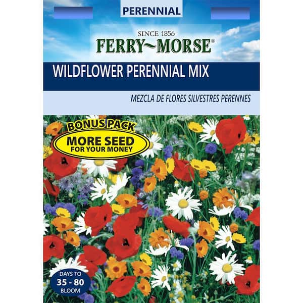 Ferry-Morse Wildflowers Sunny Meadow Mixture Seed