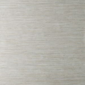 Fusion Grey Plain Textured Non-Pasted Paper Wallpaper Sample