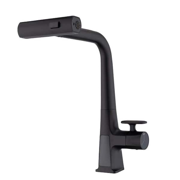 Single Handle 15.75 in. LED Temperature Display Pull Out Sprayer Kitchen Faucet with 360° Swivel Spout in Matte Black