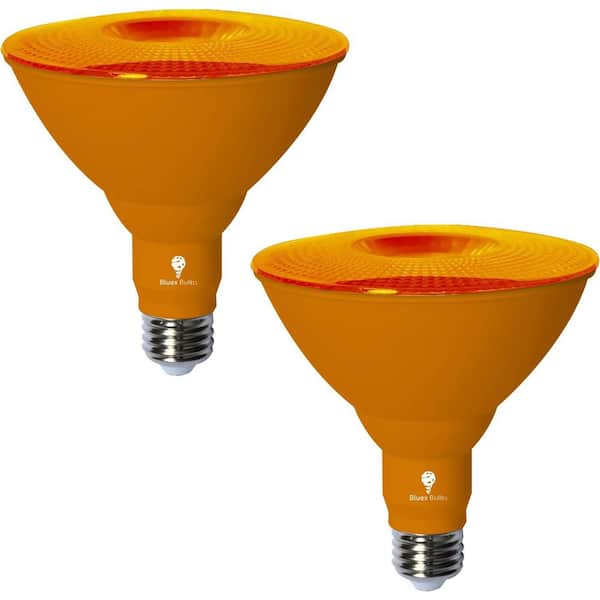 BLUEX BULBS 120-Watt Equivalent PAR38 Decorative LED Light Bulb in Orange (2-Pack)