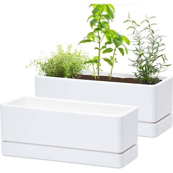 12 in. L x 4.5 in. W x 4.5 in. H 12 qts. Plastic Window Box