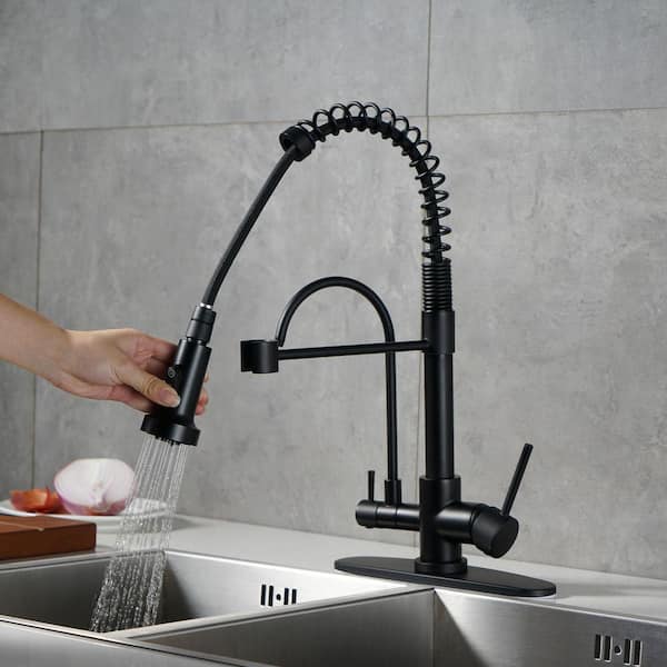 Brass Double Handle 17.5in. H 360° Swivel Pull Down Sprayer Kitchen Faucet with Water Filter Faucet Combo in Matte Black