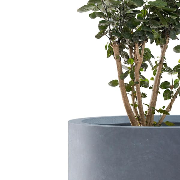 Kante 23.6 and 18.9 in. H Cylindrical Charcoal Finish Concrete and Fiberglass Modern Planters (Set of 2)