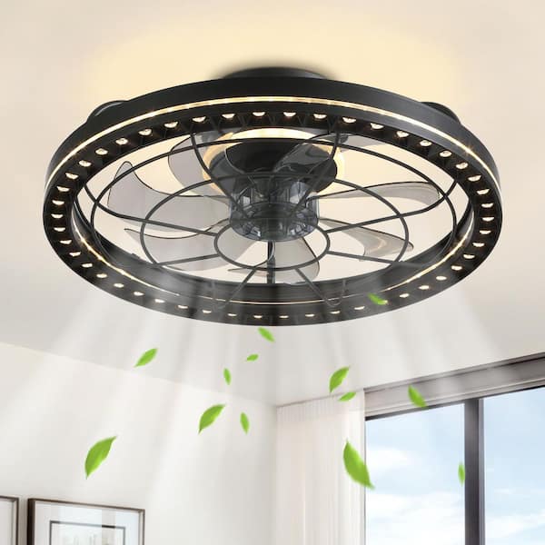 WDETR 19 in. Indoor Black Low Profile Caged Ceiling Fan with Lights with Remote Included