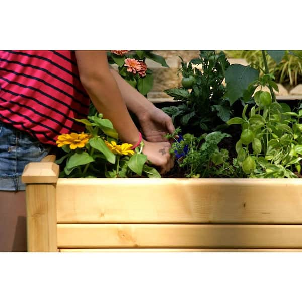 Eden 3 ft. x 4 ft. Cedar Raised Garden Bed RGT-34 - The Home Depot