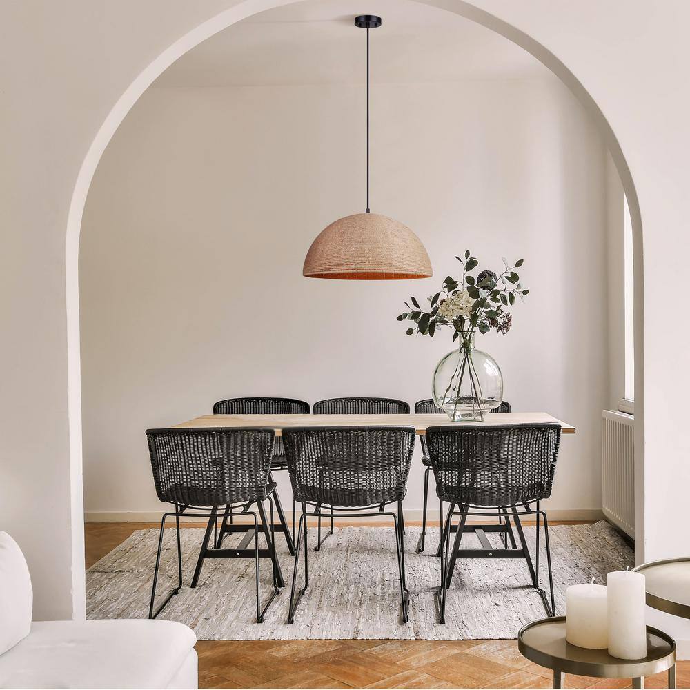 Matte Black and Rope 20" Indoor/Outdoor Pendant Light