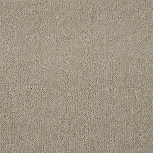 Feather - Pottery - Brown 12 ft. 54 oz. Wool Texture Installed Carpet