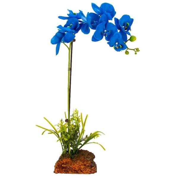 Cyma Orchids Artificial Everlasting Orchid Arrangement